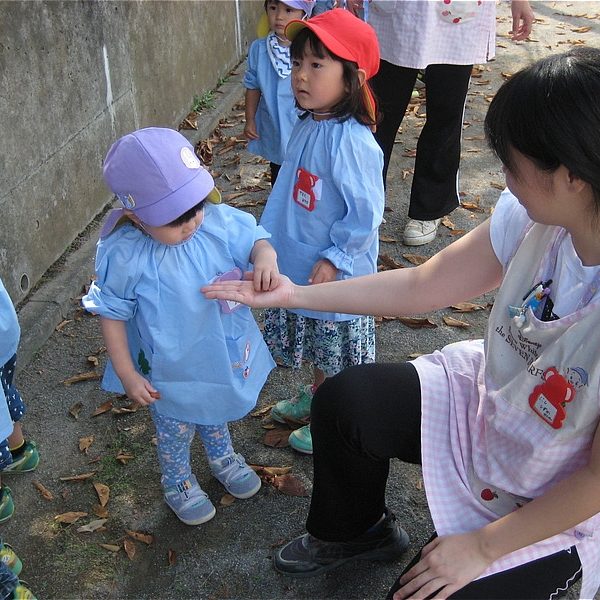 足立区チェリー保育園の採用情報 | 足立区 認可保育園｜社会福祉法人チェリー保育園-北綾瀬